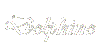 Delphine detail